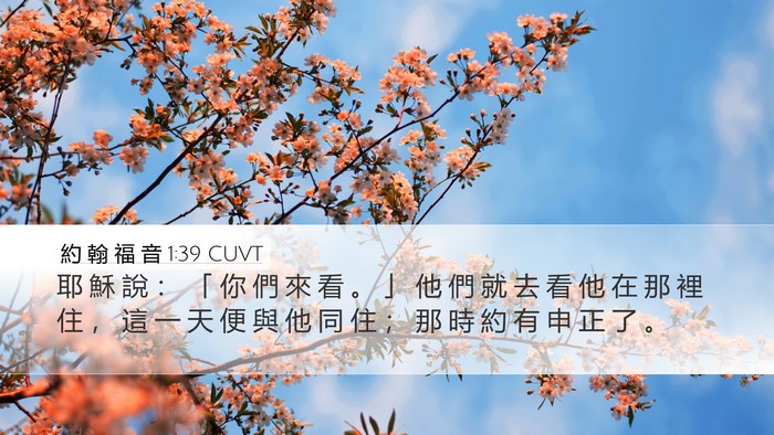 約 翰 福 音 1:39 CUVT Bible Verse Image