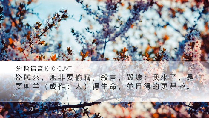 約 翰 福 音 10:10 CUVT Bible Verse Image
