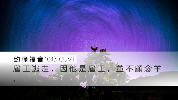 約 翰 福 音 10:13 CUVT Desktop Wallpaper - 雇 工 逃 走 ， 因 他 是 雇 工 ， 並 - Desktop Bible Verse Wallpaper