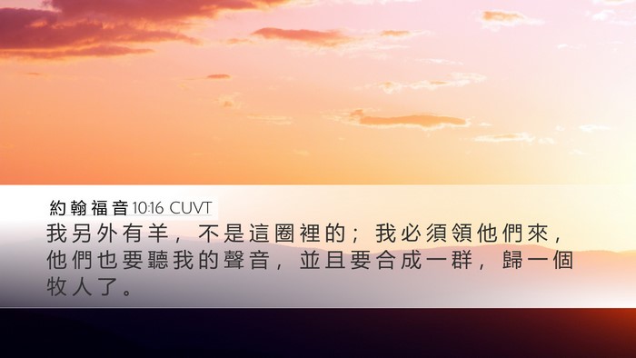約 翰 福 音 10:16 CUVT Bible Verse Image