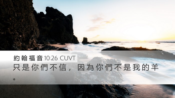 約 翰 福 音 10:26 CUVT Bible Verse Image
