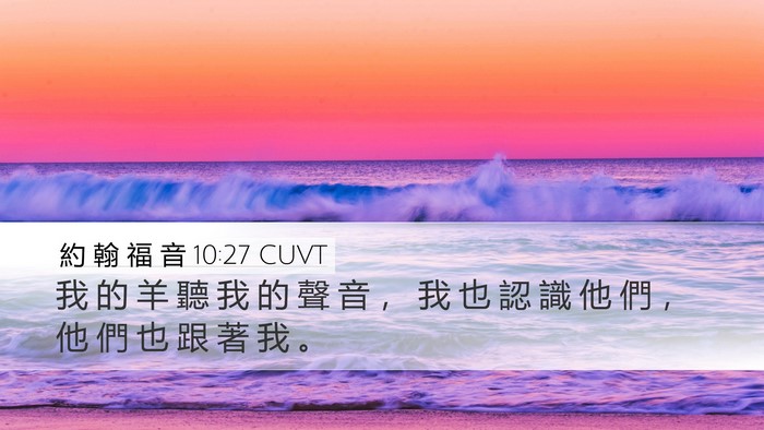 約 翰 福 音 10:27 CUVT Bible Verse Image