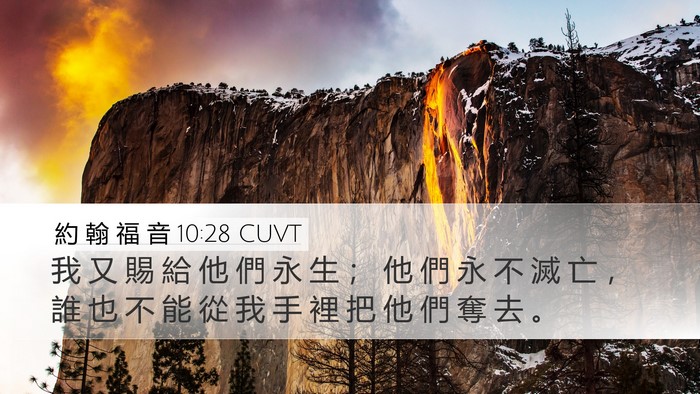 約 翰 福 音 10:28 CUVT Bible Verse Image