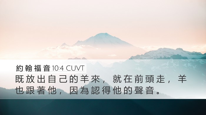 約 翰 福 音 10:4 CUVT Bible Verse Image