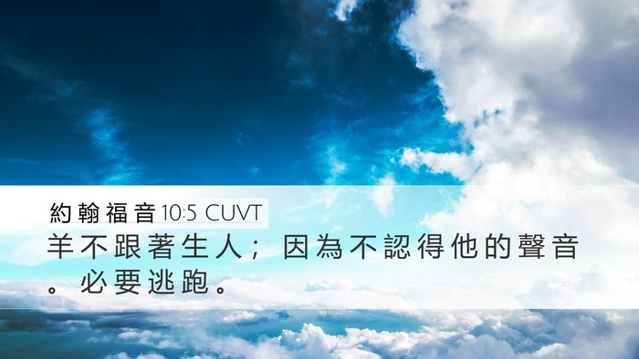 約 翰 福 音 10:5 CUVT Bible Verse Image