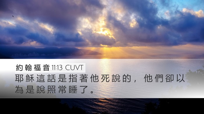 約 翰 福 音 11:13 CUVT Bible Verse Image