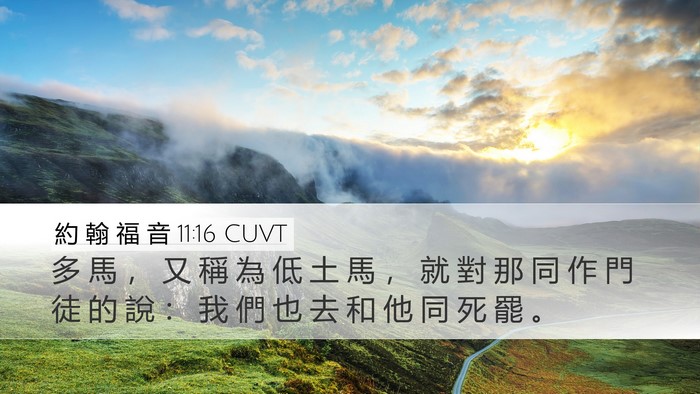 約 翰 福 音 11:16 CUVT Bible Verse Image