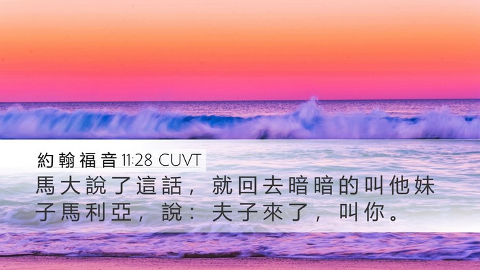 約 翰 福 音 11:28 CUVT Bible Verse Image