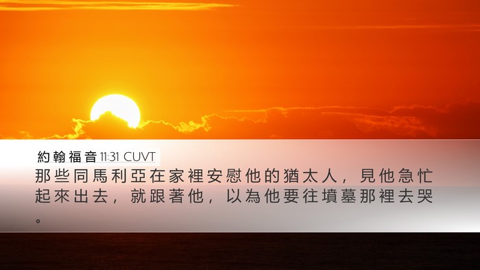 約 翰 福 音 11:31 CUVT Bible Verse Image