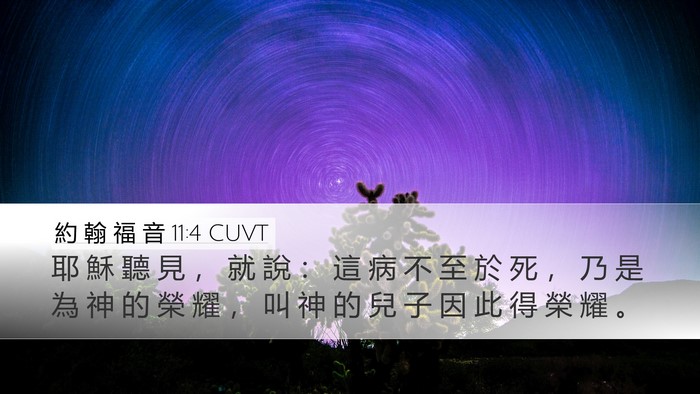 約 翰 福 音 11:4 CUVT Bible Verse Image