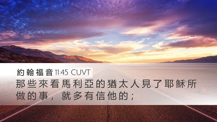約 翰 福 音 11:45 CUVT Bible Verse Image