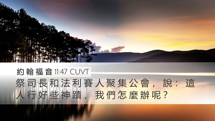約 翰 福 音 11:47 CUVT Bible Verse Image