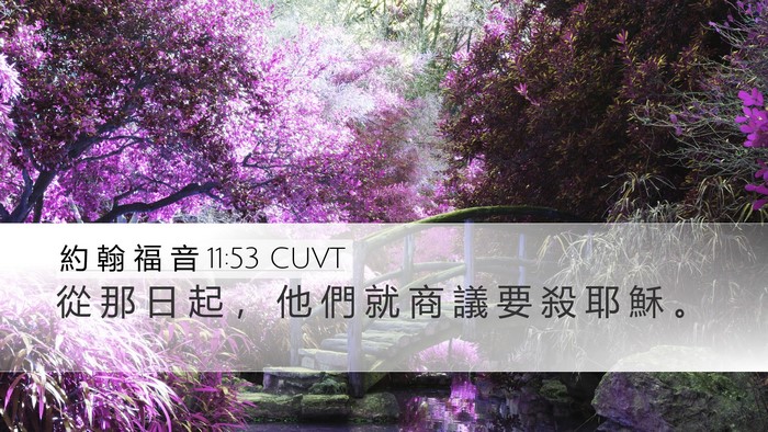 約 翰 福 音 11:53 CUVT Bible Verse Image