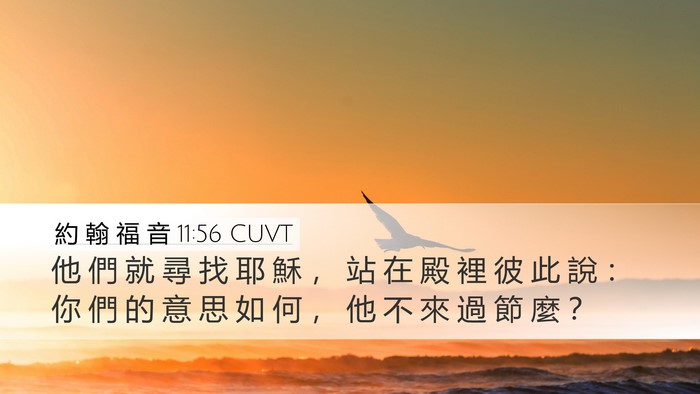 約 翰 福 音 11:56 CUVT Bible Verse Image