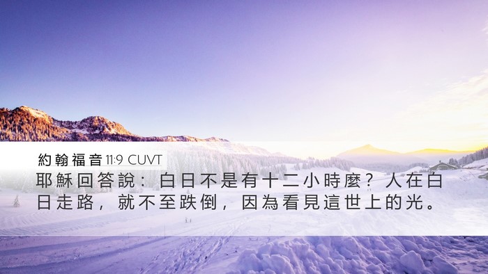 約 翰 福 音 11:9 CUVT Bible Verse Image