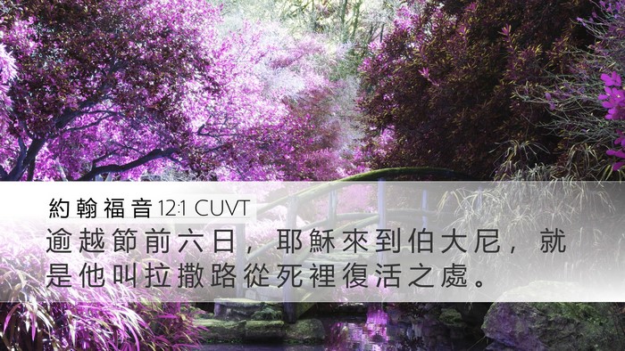 約 翰 福 音 12:1 CUVT Bible Verse Image