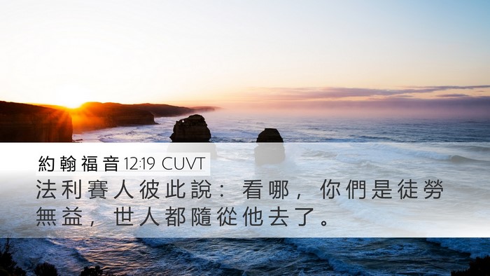 約 翰 福 音 12:19 CUVT Bible Verse Image