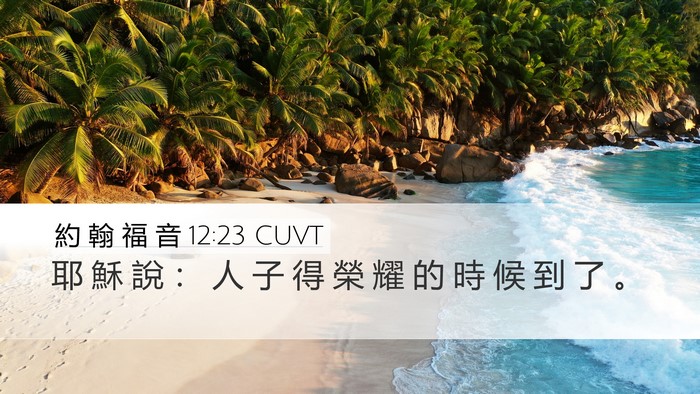 約 翰 福 音 12:23 CUVT Desktop Wallpaper - 耶 穌 說 ： 人 子 得 榮 耀 的 時 候 - Desktop Bible Verse Wallpaper