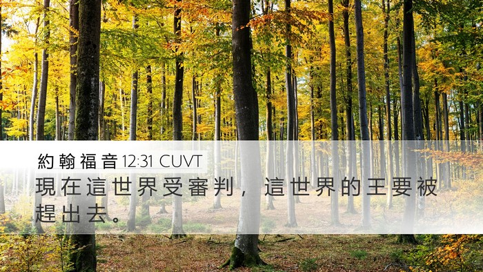 約 翰 福 音 12:31 CUVT Bible Verse Image
