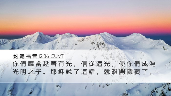 約 翰 福 音 12:36 CUVT Bible Verse Image