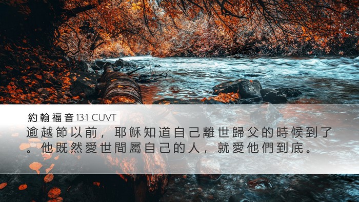 約 翰 福 音 13:1 CUVT Bible Verse Image