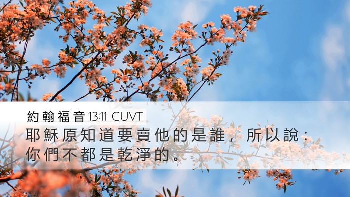 約 翰 福 音 13:11 CUVT Bible Verse Image