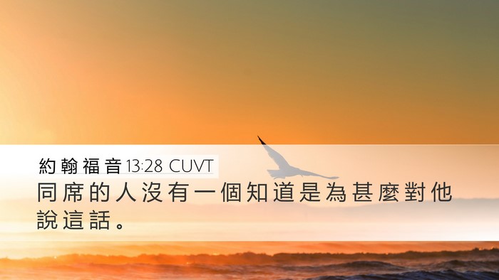 約 翰 福 音 13:28 CUVT Desktop Wallpaper - 同 席 的 人 沒 有 一 個 知 道 是 為 - Desktop Bible Verse Wallpaper