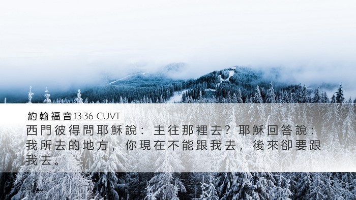 約 翰 福 音 13:36 CUVT Bible Verse Image