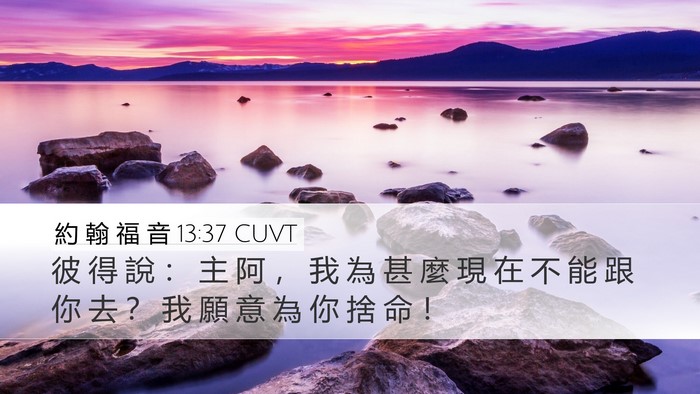 約 翰 福 音 13:37 CUVT Bible Verse Image