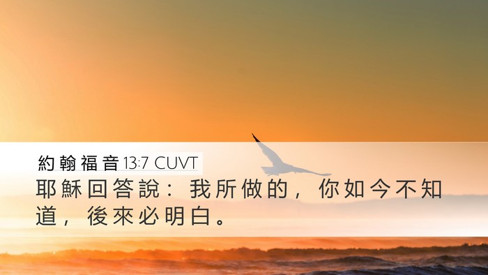 約 翰 福 音 13:7 CUVT Bible Verse Image