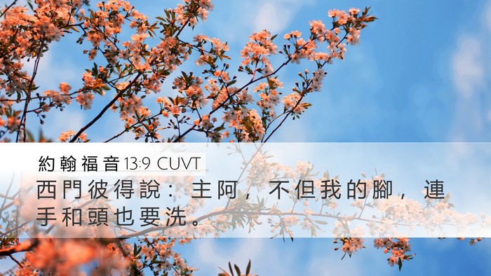 約 翰 福 音 13:9 CUVT Desktop Wallpaper - 西 門 彼 得 說 ： 主 阿 ， 不 但 我 - Desktop Bible Verse Wallpaper