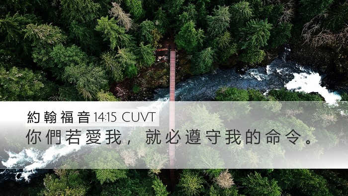 約 翰 福 音 14:15 CUVT Bible Verse Image