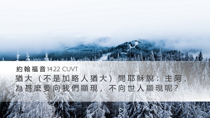 約 翰 福 音 14:22 CUVT Bible Verse Image