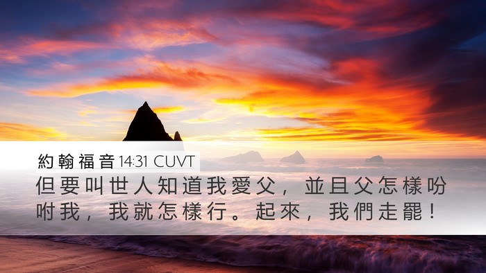 約 翰 福 音 14:31 CUVT Bible Verse Image