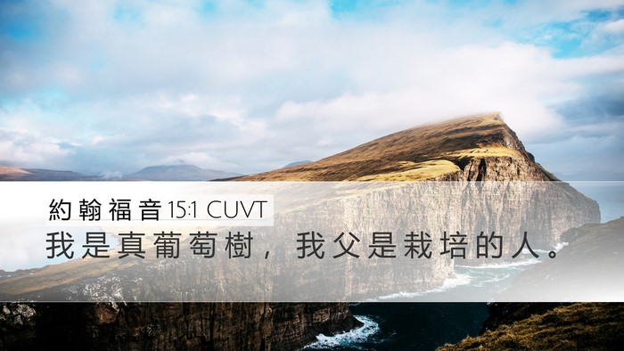 約 翰 福 音 15:1 CUVT Bible Verse Image