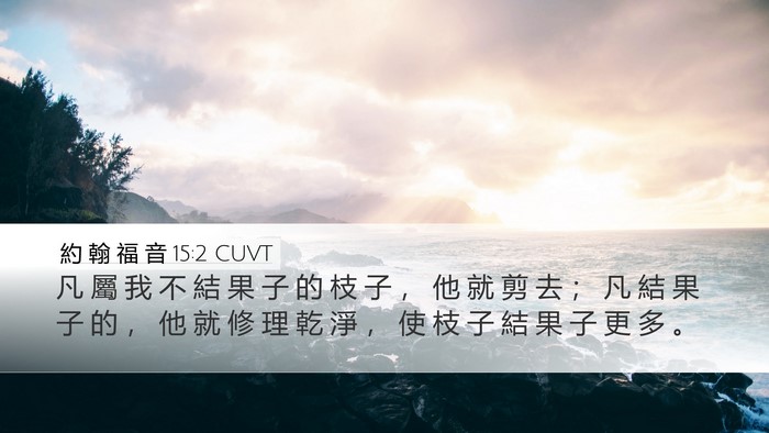約 翰 福 音 15:2 CUVT Bible Verse Image