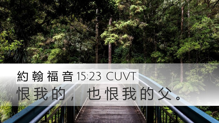 約 翰 福 音 15:23 CUVT Bible Verse Image