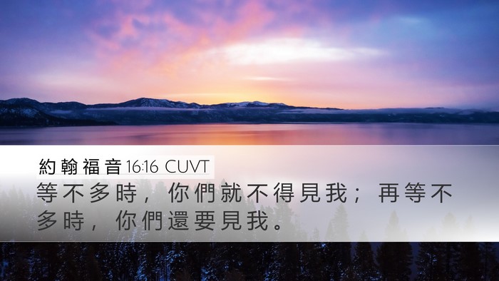 約 翰 福 音 16:16 CUVT Bible Verse Image