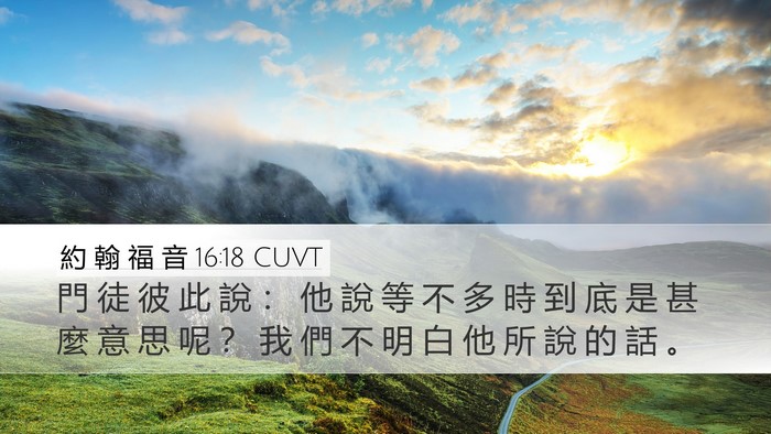 約 翰 福 音 16:18 CUVT Bible Verse Image