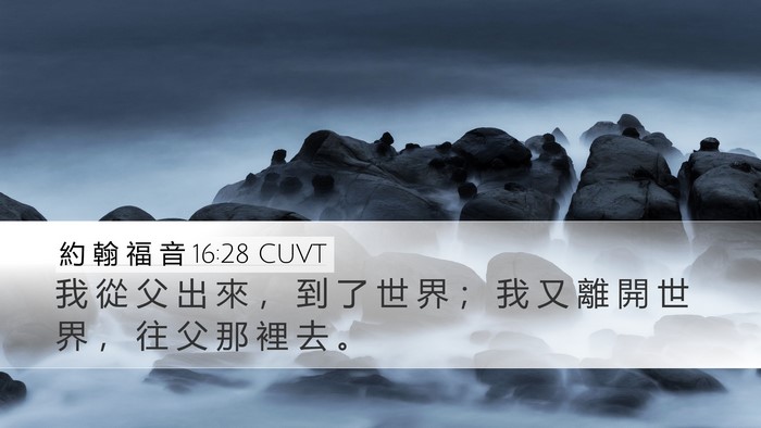 約 翰 福 音 16:28 CUVT Bible Verse Image
