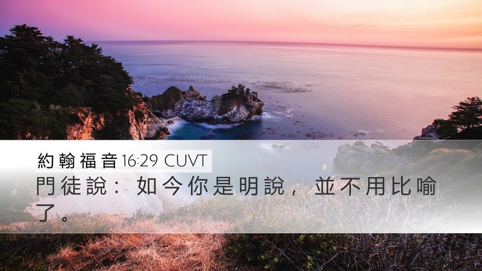 約 翰 福 音 16:29 CUVT Bible Verse Image