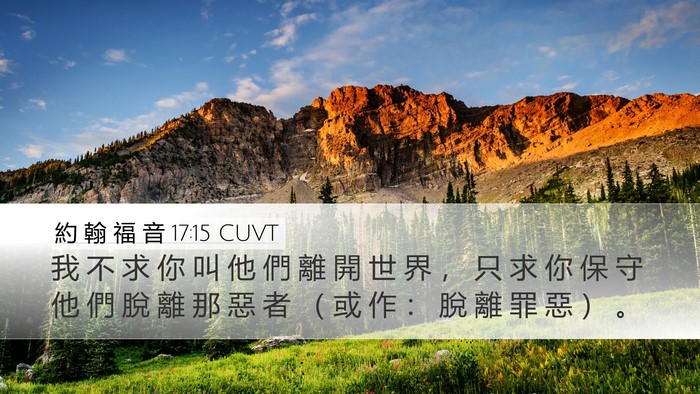 約 翰 福 音 17:15 CUVT Bible Verse Image