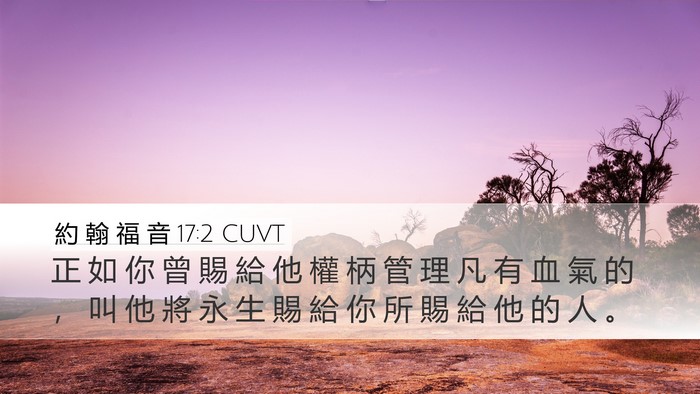 約 翰 福 音 17:2 CUVT Desktop Wallpaper - 正 如 你 曾 賜 給 他 權 柄 管 理 凡 - Desktop Bible Verse Wallpaper