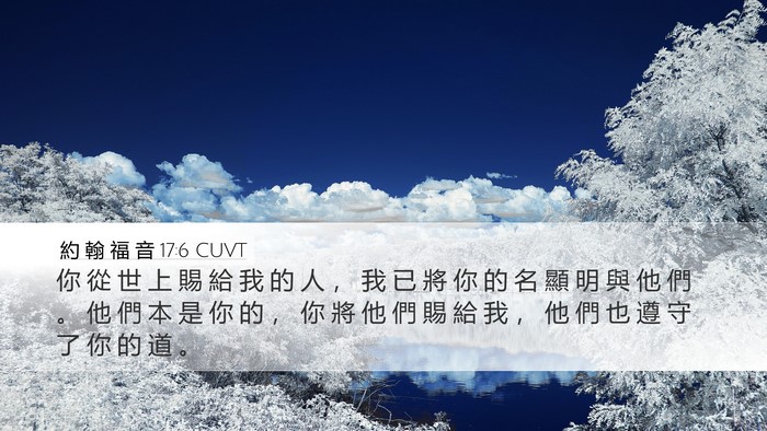 約 翰 福 音 17:6 CUVT Bible Verse Image
