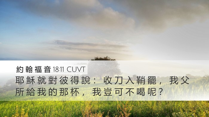 約 翰 福 音 18:11 CUVT Bible Verse Image