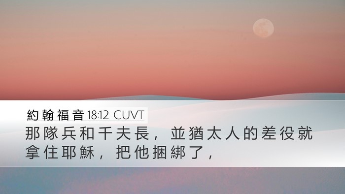 約 翰 福 音 18:12 CUVT Bible Verse Image