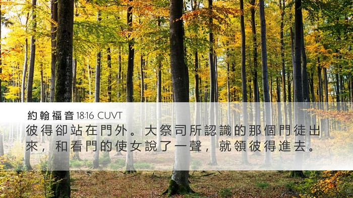約 翰 福 音 18:16 CUVT Bible Verse Image