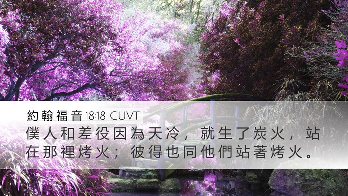 約 翰 福 音 18:18 CUVT Bible Verse Image