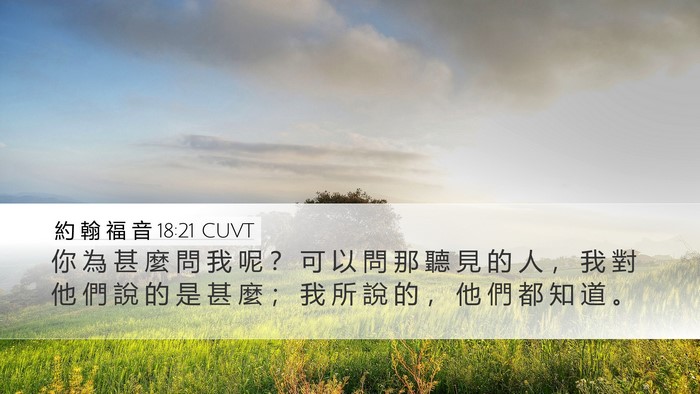 約 翰 福 音 18:21 CUVT Desktop Wallpaper - 你 為 甚 麼 問 我 呢 ？ 可 以 問 那 - Desktop Bible Verse Wallpaper
