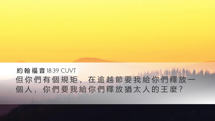 約 翰 福 音 18:39 CUVT Bible Verse Image